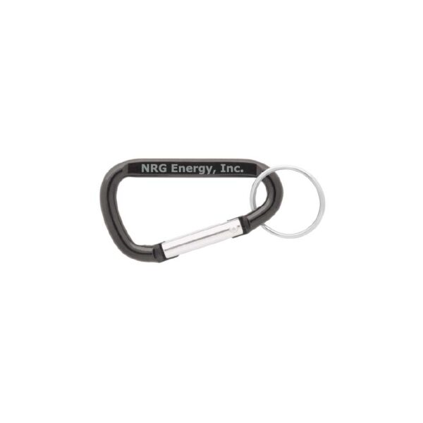 Carabiner Key Chain- 3 1/8"